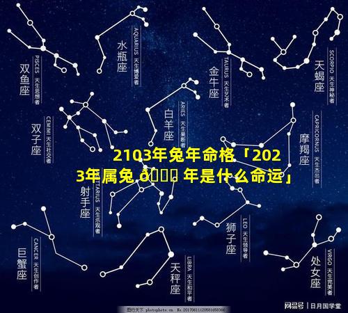 2103年兔年命格「2023年属兔 🐘 年是什么命运」